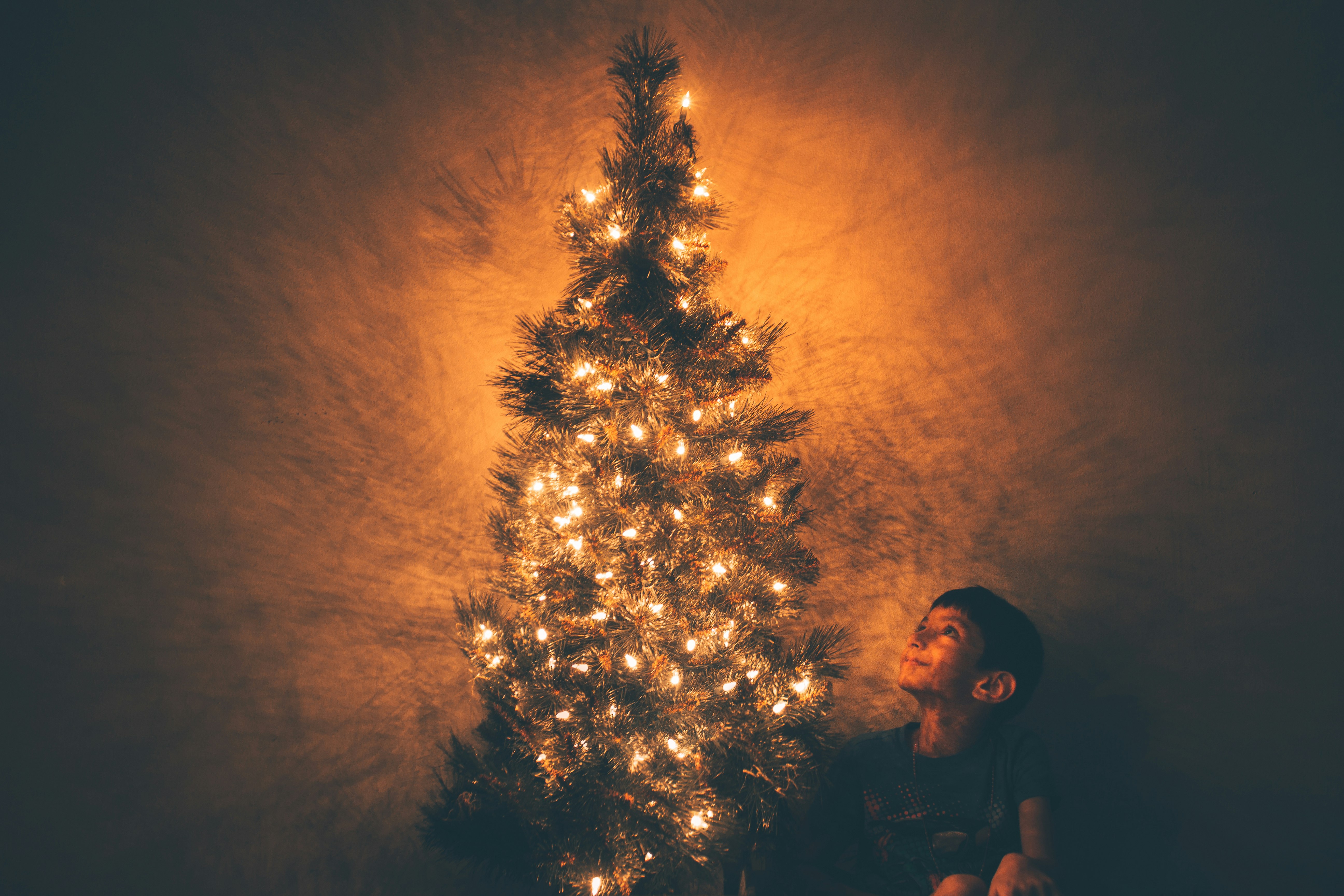 smiling boy beside Christmas tree with lighted string lights